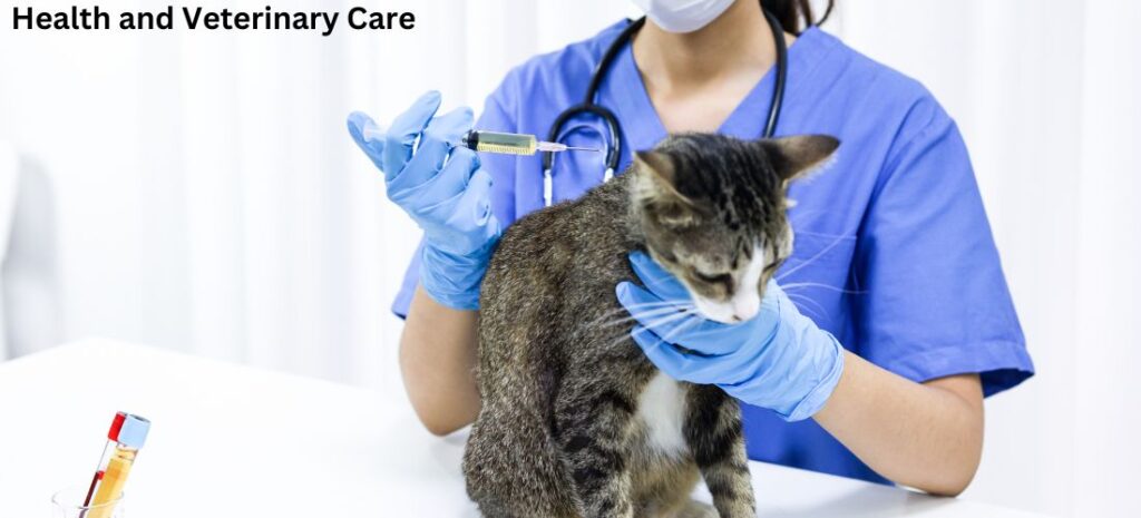  vaccinations are essential for cats