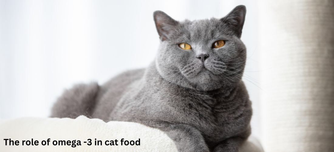 The role of omega -3 in cat food